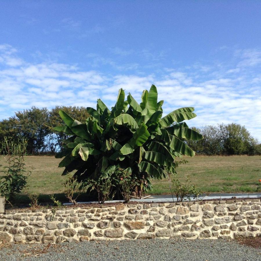 Gite Chouchou Izé Exterior foto